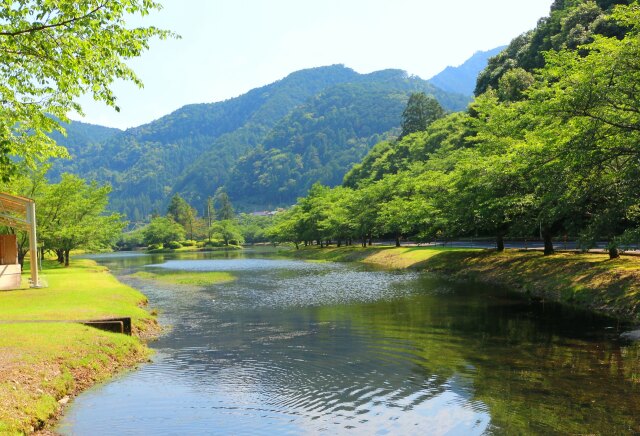 初夏の水辺