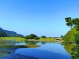 初夏の湿原