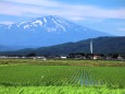 鳥海山と風車