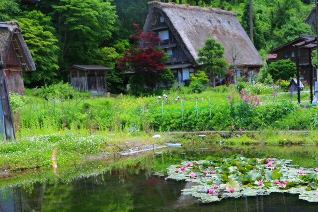 6月の白川郷