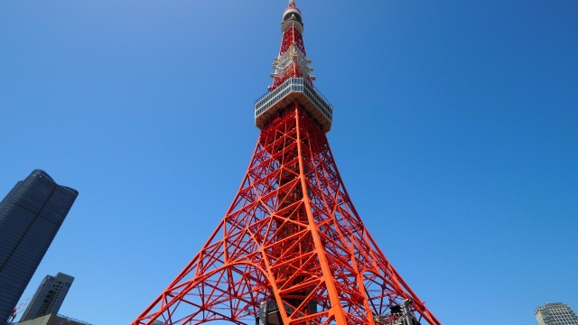 春の東京タワー