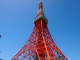 春の東京タワー