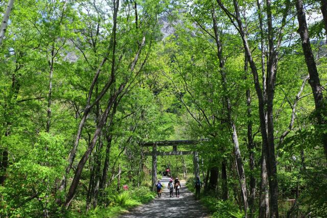 初夏の穂高神社