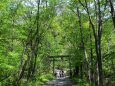 初夏の穂高神社