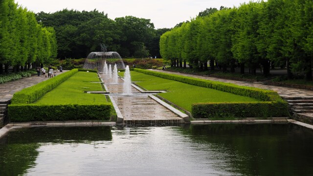 春の昭和記念公園