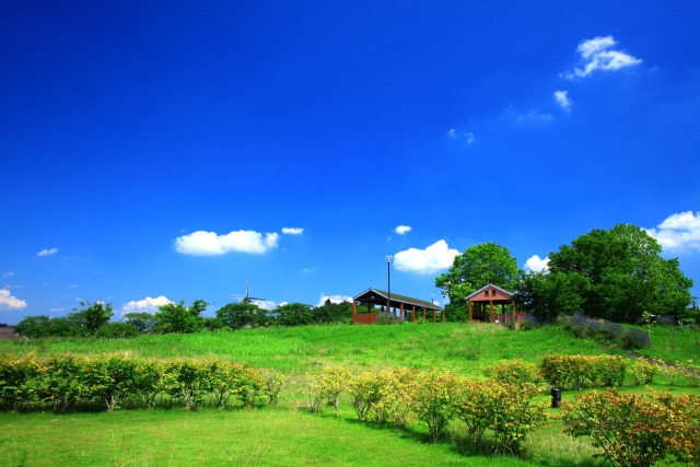 夏の公園