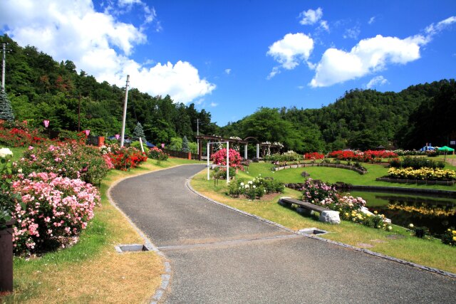 東沢バラ公園