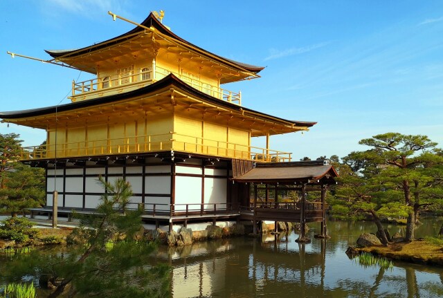 初夏の金閣寺