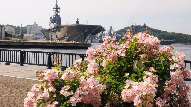 ヴェルニー公園のバラと護衛艦