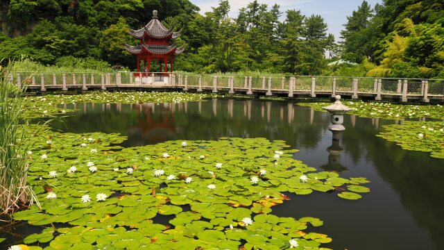 初夏の上海横浜友好園