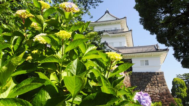 初夏の小田原城