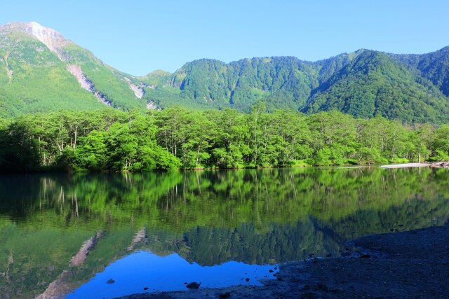 夏の大正池