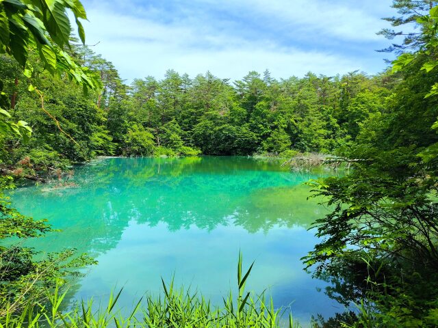 裏磐梯五色沼