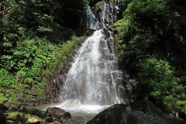 渓流 夏 滝