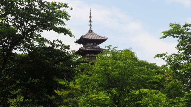 初夏の三渓園