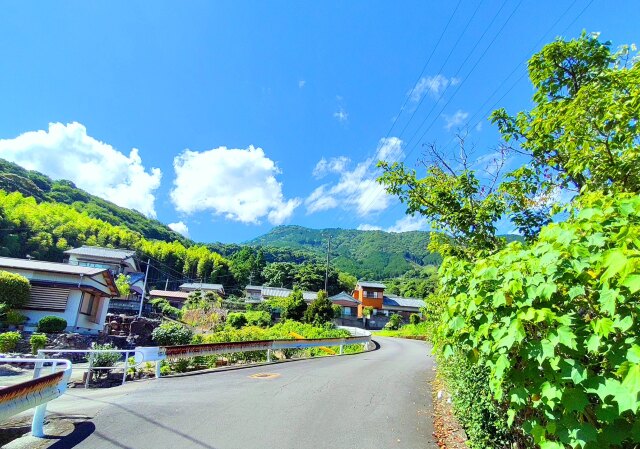 夏の里山