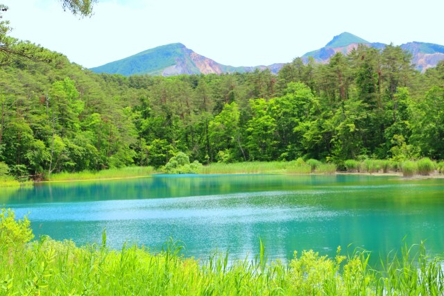 夏の弁天沼と磐梯山