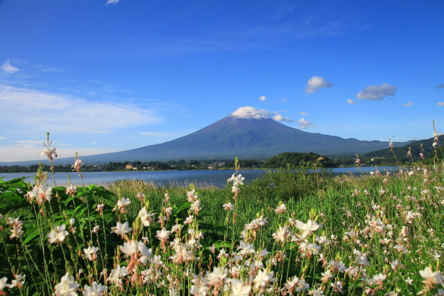 富士山に可愛い雲