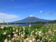 富士山に可愛い雲