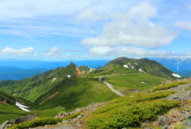 夏の乗鞍岳