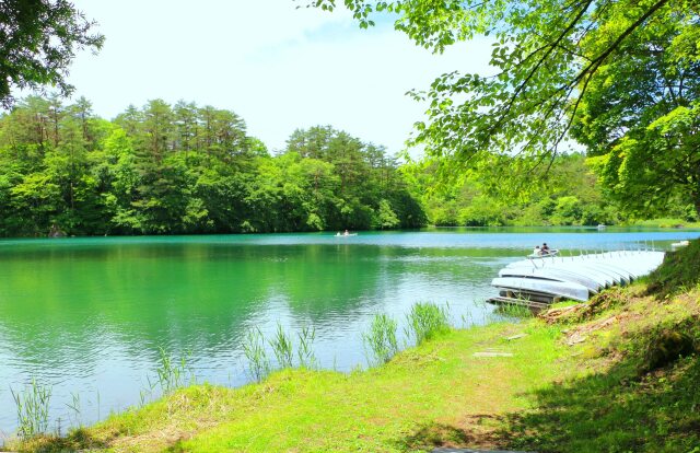 夏の毘沙門沼