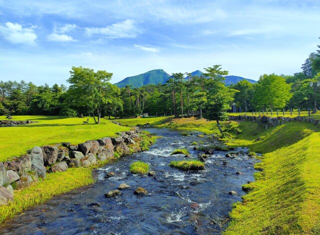 夏の水辺