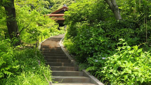 初夏の三渓園