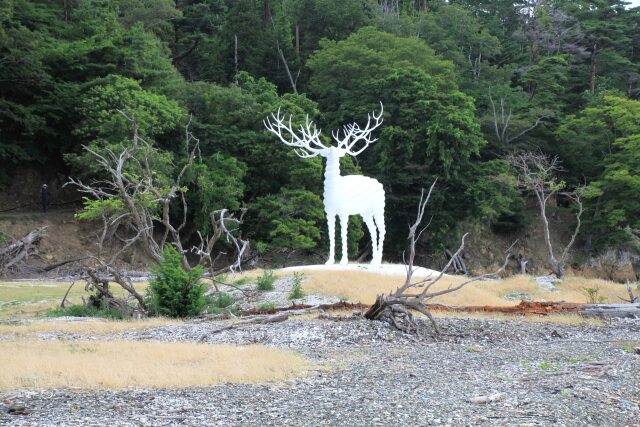 White Deer (Oshika)