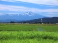 鳥海山