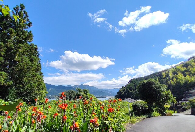 夏の里山