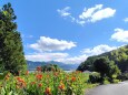 夏の里山