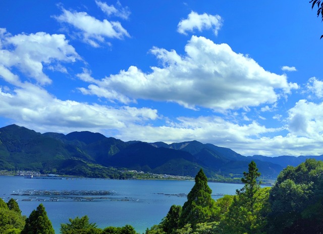 夏の海