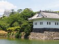 初夏の小田原城