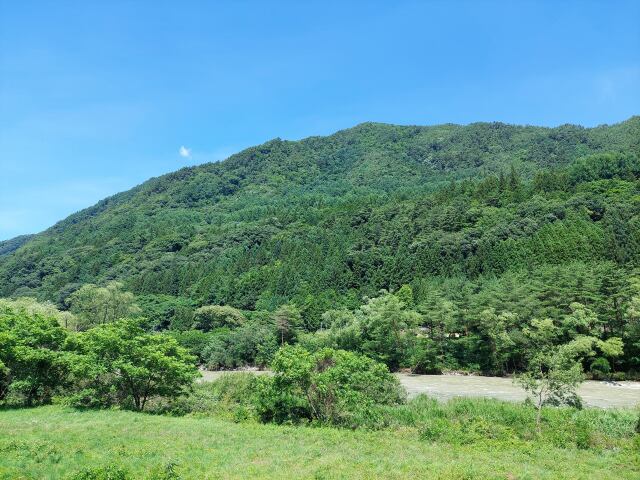 生い茂る信州の山々