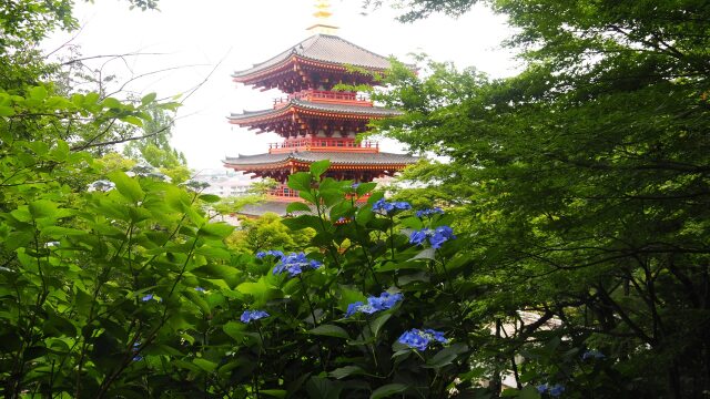 初夏の高幡不動尊