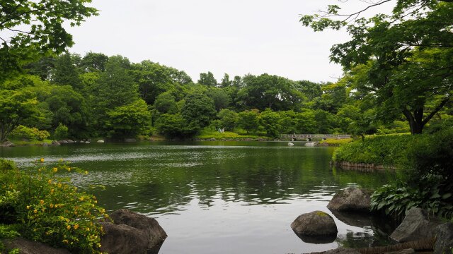 初夏の昭和記念公園