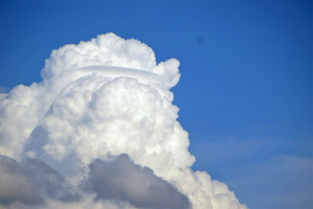 夏の空 入道雲