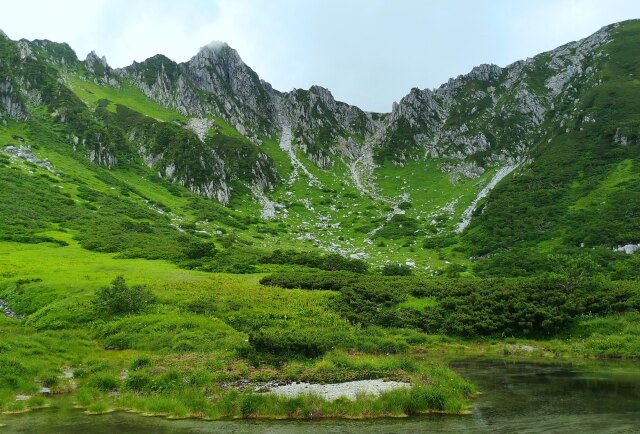 夏の千畳敷カール