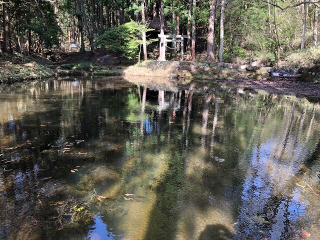 田螺神社の池