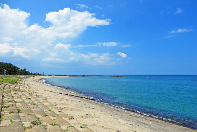 夏の海岸 4