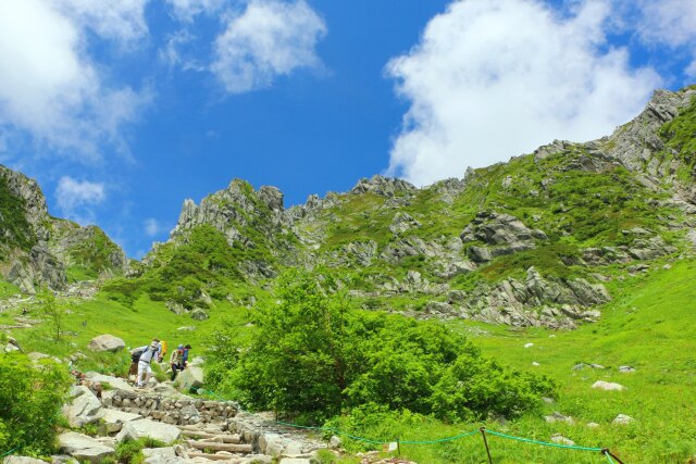 夏の駒ヶ岳