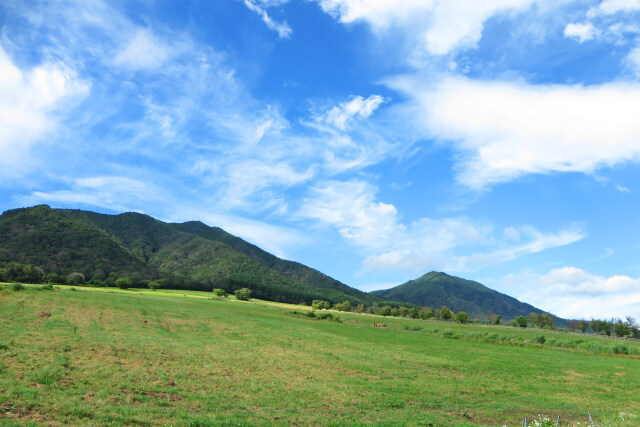 夏の高原