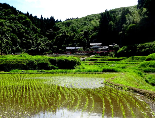 梅雨晴れの静かな山間部