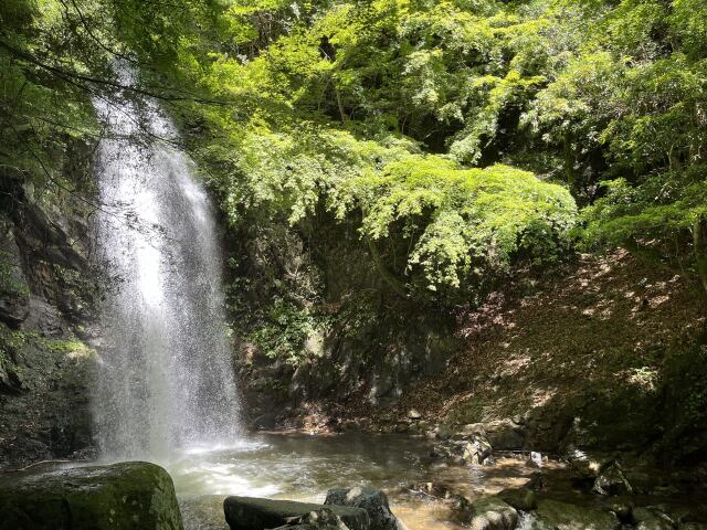 伊賀の名水