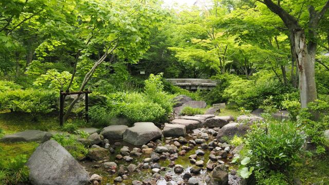 初夏の昭和記念公園