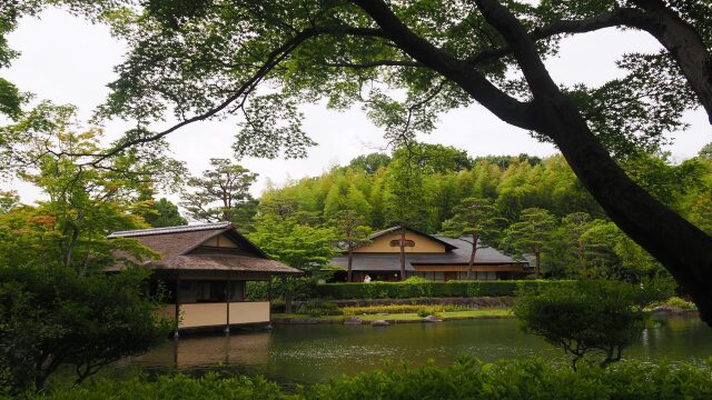 初夏の昭和記念公園