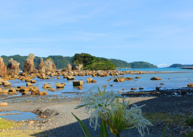 ハマユウと夏の海