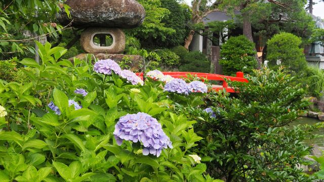 初夏の高幡不動尊