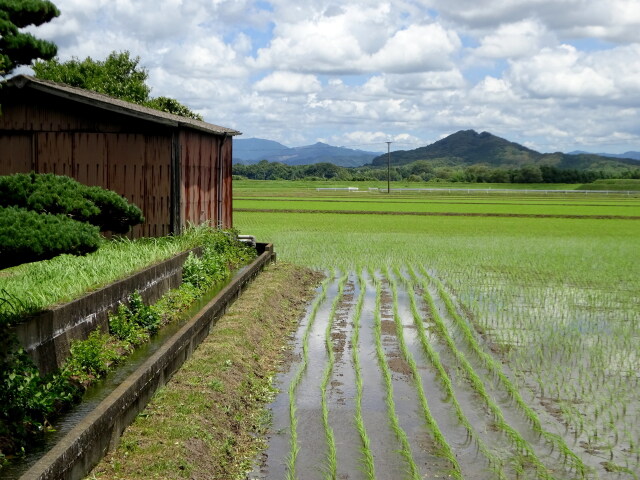 梅雨の晴れ間 静かな里景色