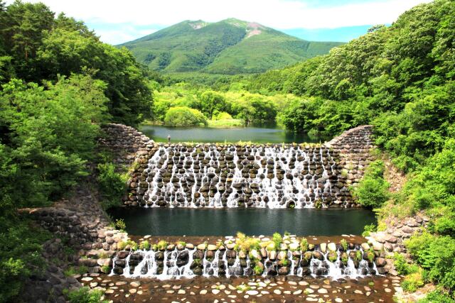 吊り橋からの風景